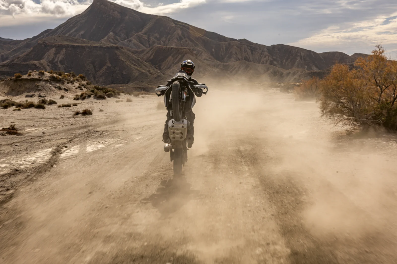 F 450 GS — foto 8