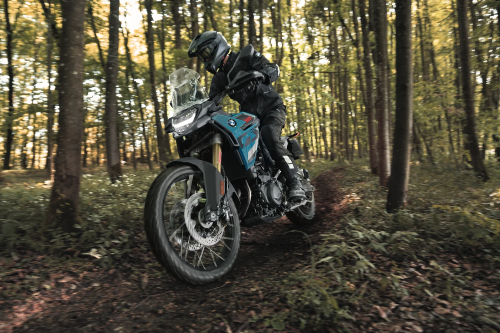 F 900 GS — foto 1